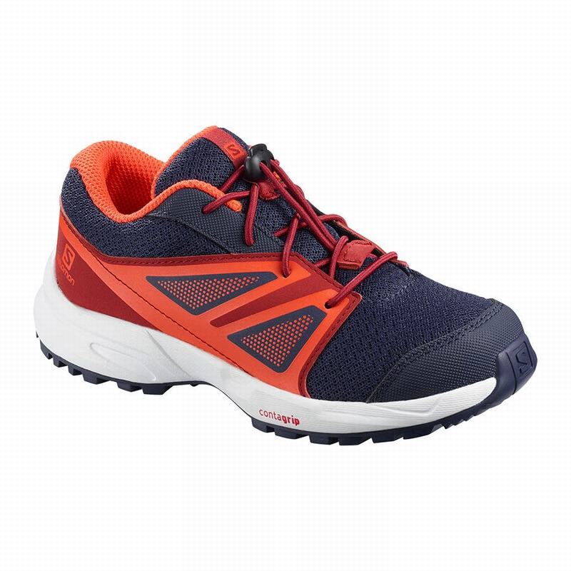 Salomon Singapore Kids Trail Running Shoes - SENSE K Blue/Red | 26483-JGUC